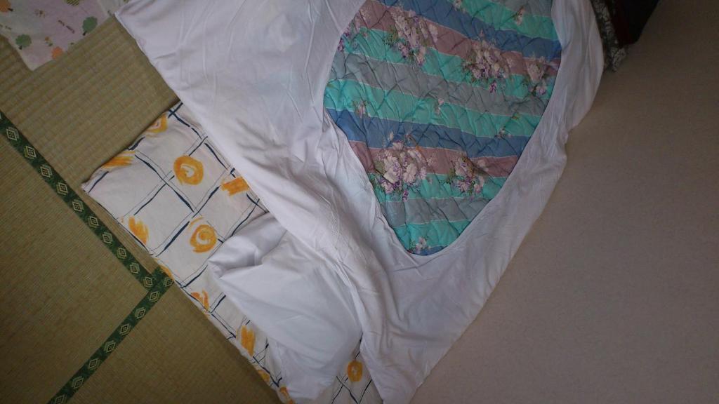 Hotel New Hakuginso NakaNakafurano Pokój zdjęcie